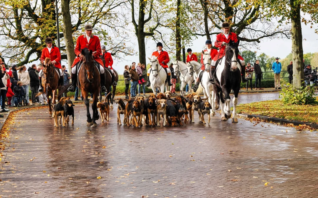 Paarden en bokbier vullen straatbeeld in Zutphen